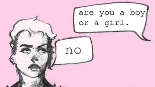 are you a girl or a boy